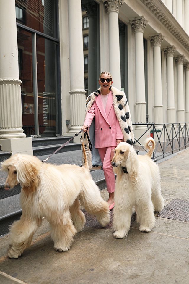 From the Sidewalks to the Runway: Pet-Inspired Streetwear Is Making a Statement