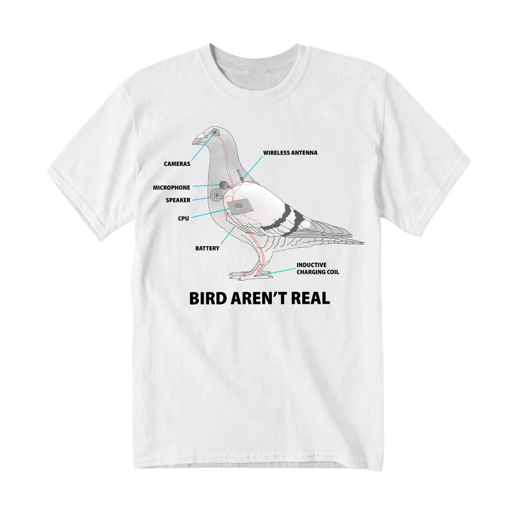 Bird Aren't Real Shirt Bird Watcher Vintage Tee Shirt Gift For Him Rivonaprint