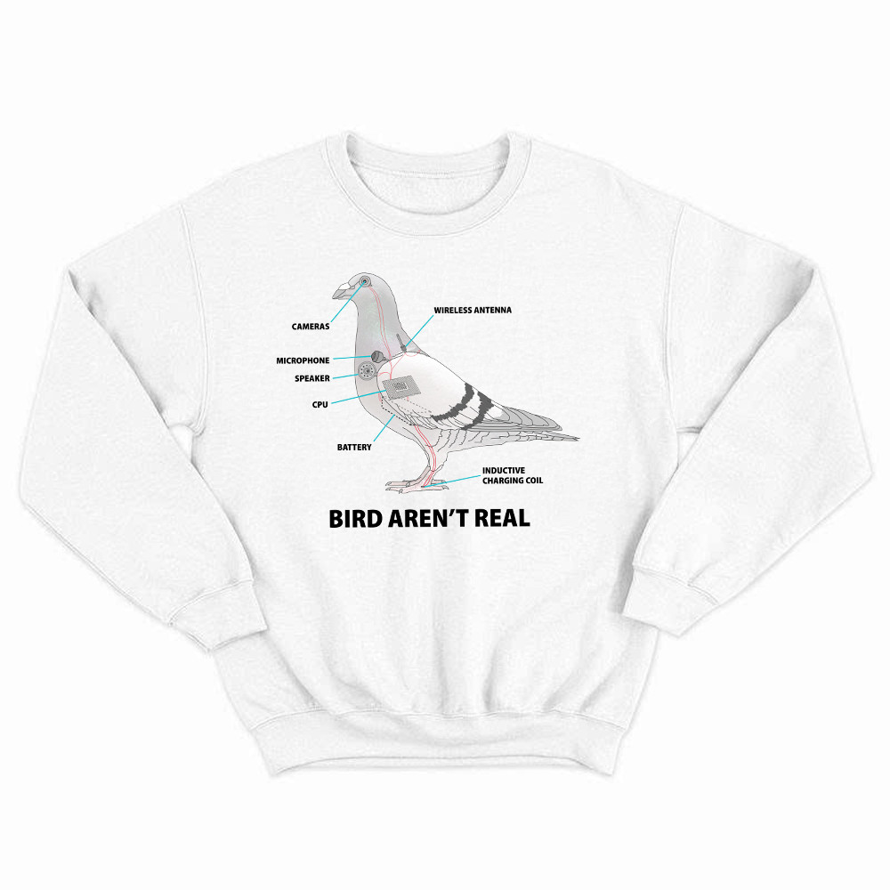 Bird Aren't Real Shirt Bird Watcher Vintage Tee Sweatshirt Gift For Him Rivonaprint