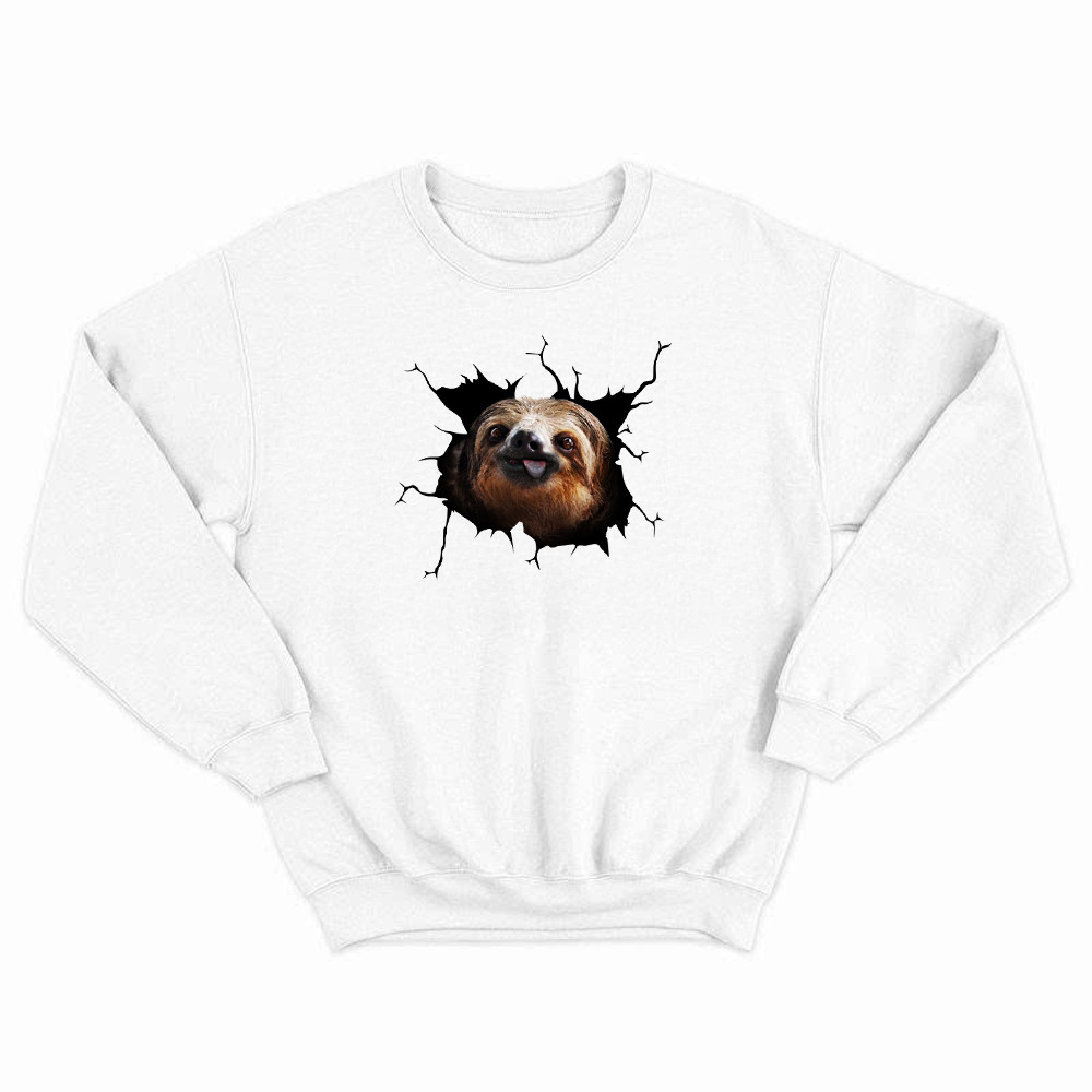 Sloth Came Out Shirt Sloth Sweatshirt Cute Graphic Unisex Gift For Brothers Idea Rivonaprint
